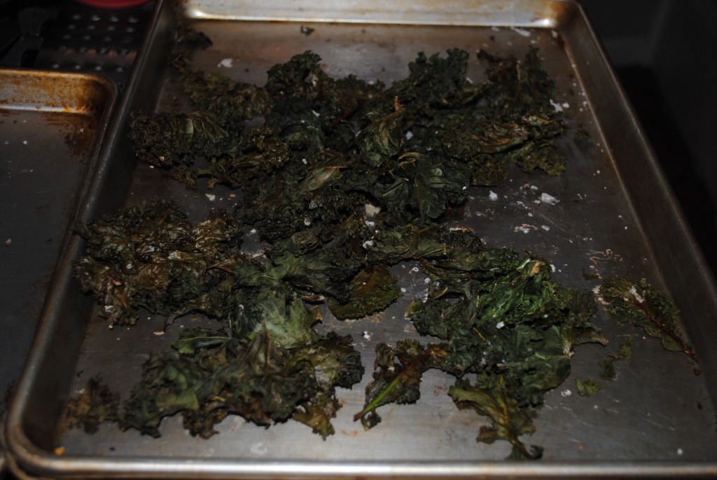 Final product. Kale chips.