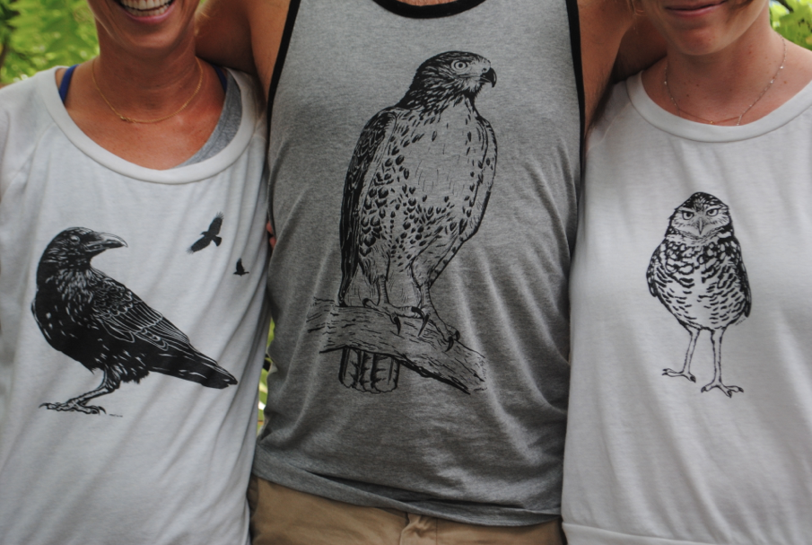 3 shirts, 3 birds.