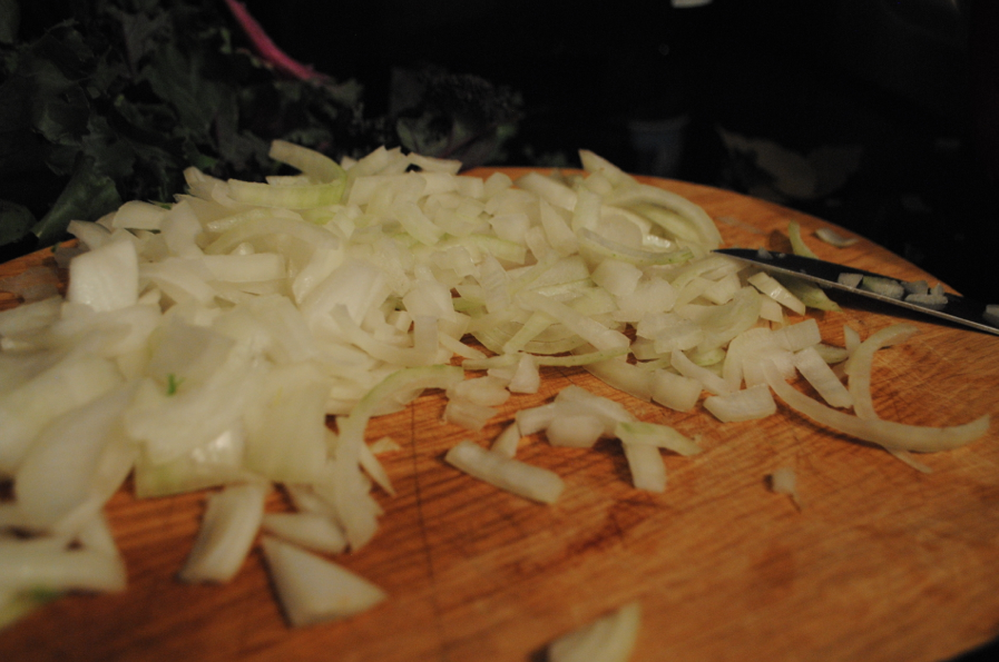 Finely chop the onions -- but if you are like me and can't stop crying when you work with onions, then do your best (I cried so hard that I thought I would cut off my finger if I tried to chop the onion any more!)