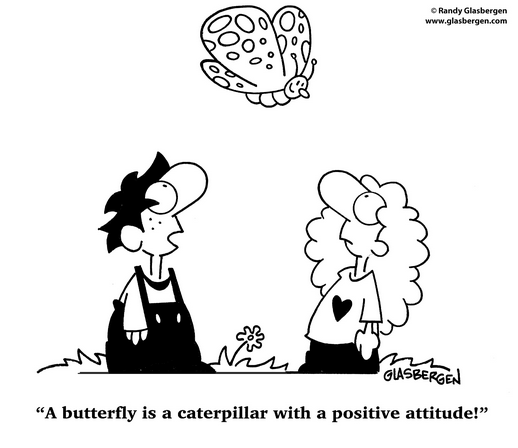 Butterflies.